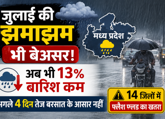 MP Weather Today