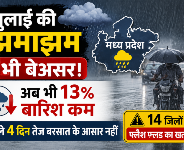 MP Weather Today
