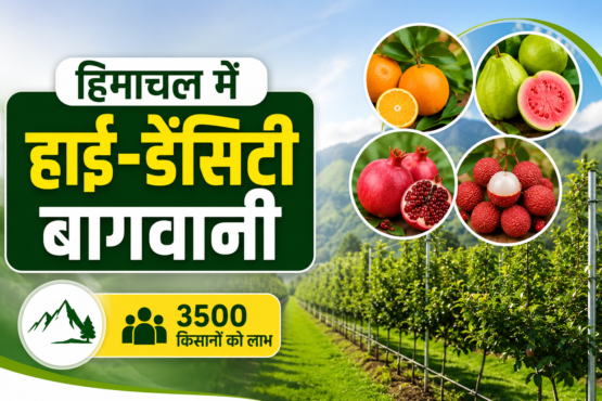 Himachal Pradesh Me HP SHIVA Project