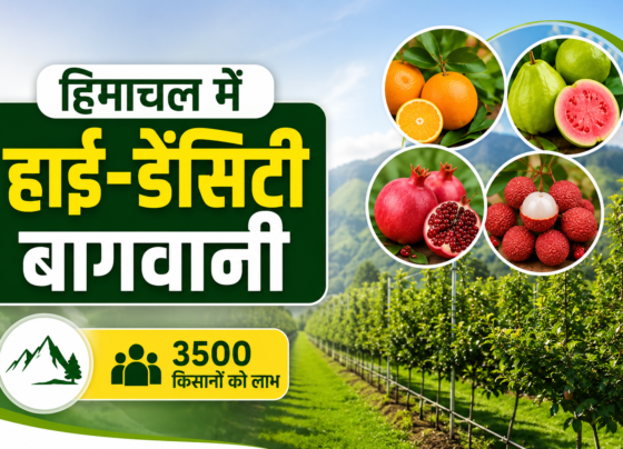 Himachal Pradesh Me HP SHIVA Project