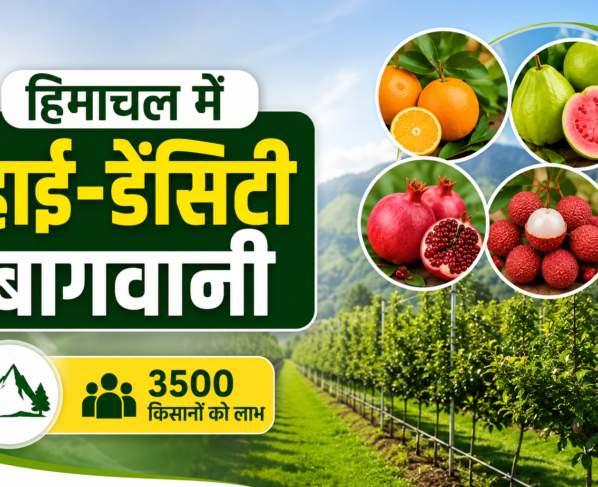 Himachal Pradesh Me HP SHIVA Project