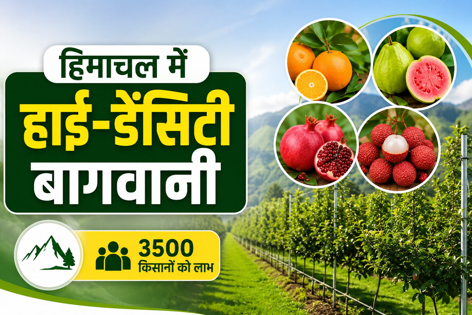 हिमाचल में हाई-डेंसिटी बागवानी को मिलेगा बढ़ावा, 4 हजार हेक्टेयर में शुरू होगा बड़ा प्रोजेक्ट Himachal Pradesh Me HP SHIVA Project