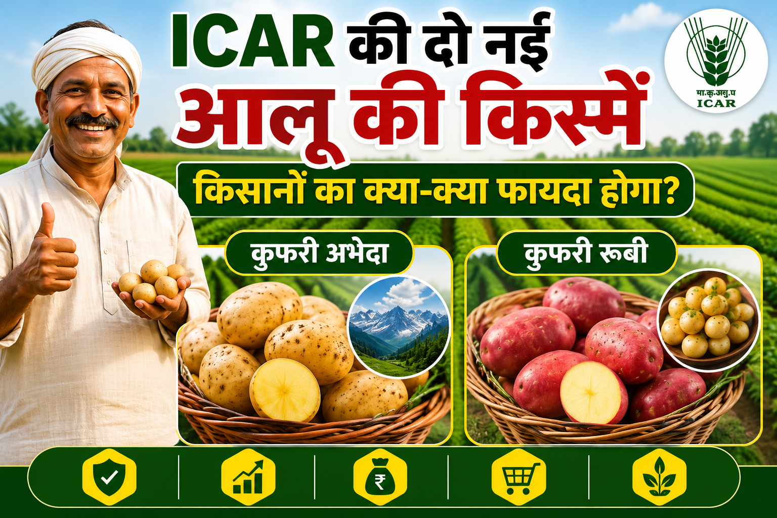 जानें कुफरी अभेद्य और कुफरी रूबी की पूरी जानकारी ICAR Ki Do Nai Aalu Ki Kisme Se Kisanon Ko Kya Fayda Hoga?