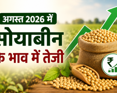 Soyabean Ke Bhav August 2026
