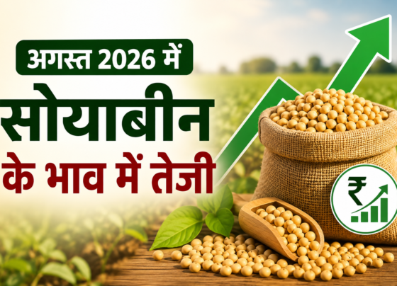 Soyabean Ke Bhav August 2026