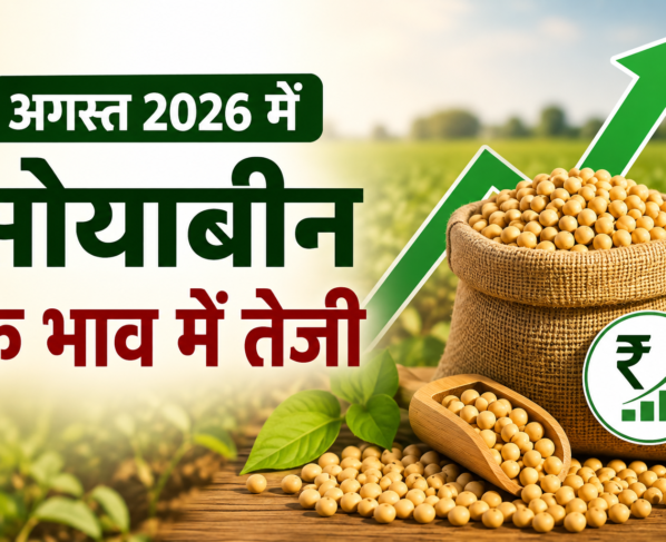 Soyabean Ke Bhav August 2026