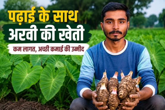 Success Story of Arvi Farming Hariom Mishra in UP