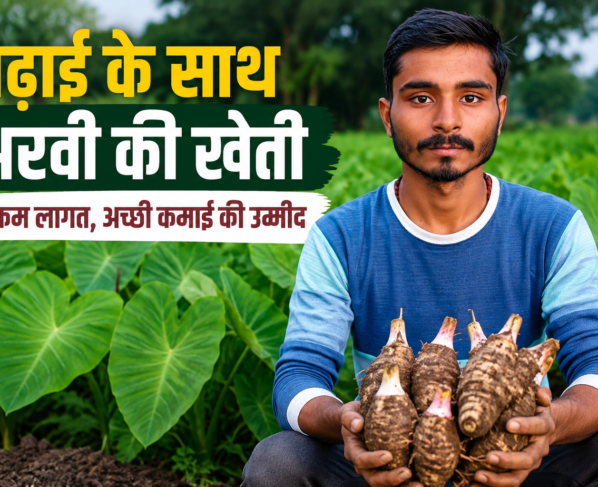 Success Story of Arvi Farming Hariom Mishra in UP
