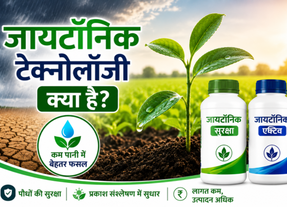 Jytonic Technology Kya Hai?