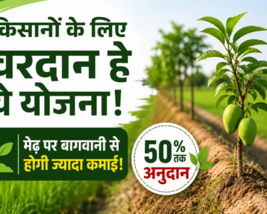 Madhya Pradesh Baghwani Yojana Subsidy