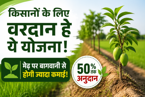 Madhya Pradesh Baghwani Yojana Subsidy