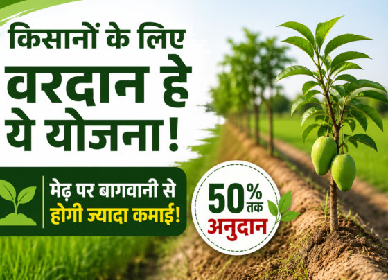 Madhya Pradesh Baghwani Yojana Subsidy