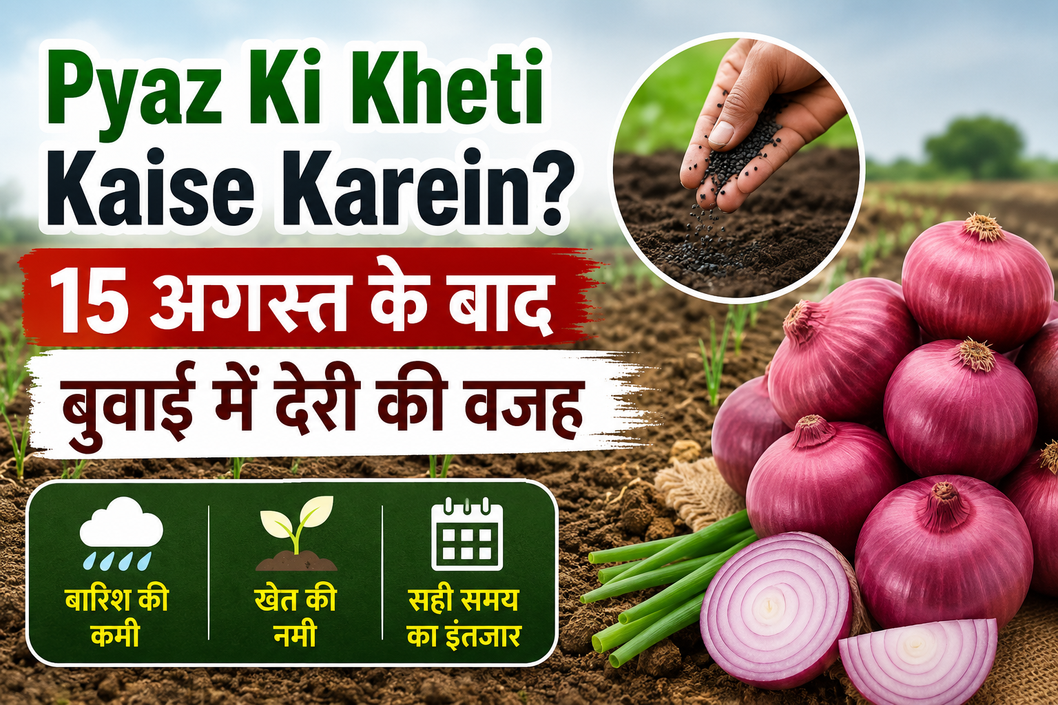 15 अगस्त के बाद बुवाई में देरी की वजह और जरूरी जानकारी Pyaz Ki Kheti Kaise Karein