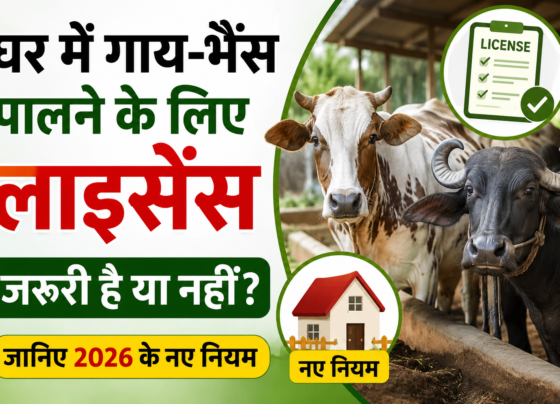 Ghar Mein Gaay-Bhains Palne Ke Liye License Zaruri Hai Ya Nahi?
