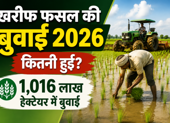 Kharif Fasal Ki Buwai 2026 Mein Kitni Hui