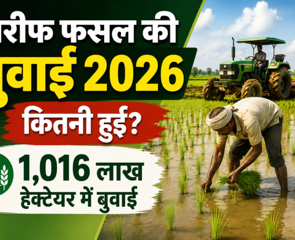 Kharif Fasal Ki Buwai 2026 Mein Kitni Hui