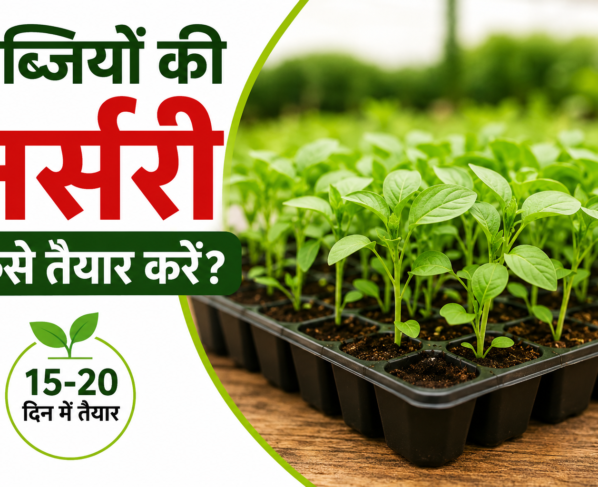 Sabjiyon Ki Nursery Kaise Taiyar Karein