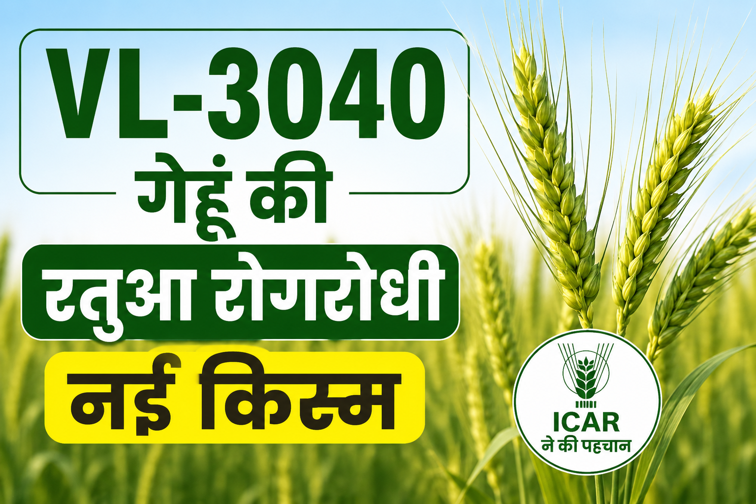 गेहूं की VL-3040 किस्म को रतुआ रोग से मिलेगी सुरक्षा, ICAR ने किया रोगरोधी के रूप में पहचान VL-3040 Gehu Ki Rataua Rogrodhi Nayi Kism