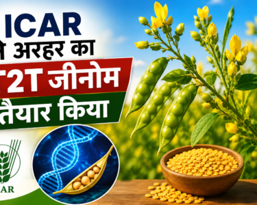 ICAR Ne Arhar Ka T2T Genome Tayar Kiya
