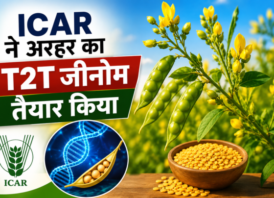 ICAR Ne Arhar Ka T2T Genome Tayar Kiya