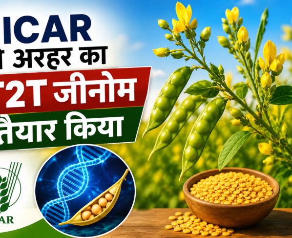 ICAR Ne Arhar Ka T2T Genome Tayar Kiya