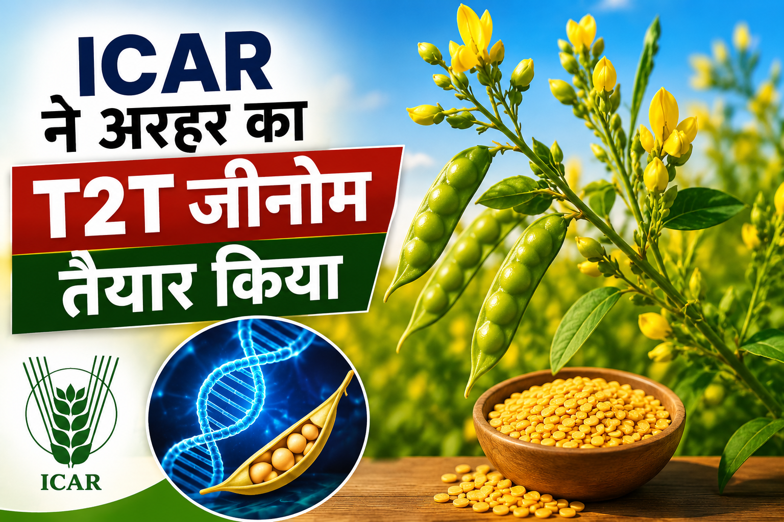 अब अरहर की पैदावार में होगा बंपर इजाफा,किसानों को मिलेगा बड़ा फायदा ICAR Ne Arhar Ka T2T Genome Tayar Kiya