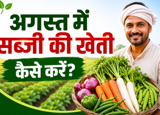 August Me Sabzi Ki Kheti Kaise Kare?