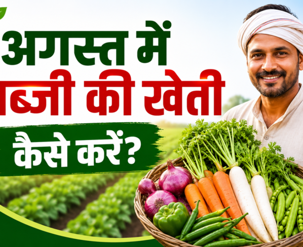 August Me Sabzi Ki Kheti Kaise Kare?