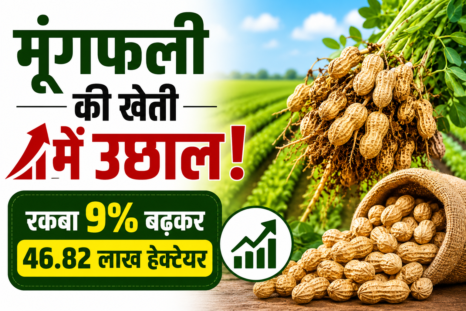 Moongfali Ki Kheti में उछाल! रकबा 9% बढ़कर 46.82 लाख हेक्टेयर, यूपी-MP में बुवाई बढ़ी