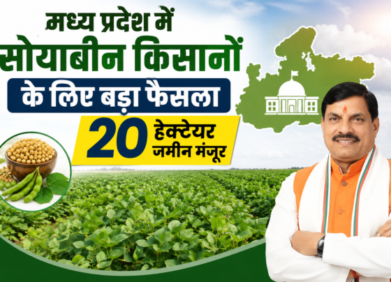 Madhya Pradesh Mein Soybean Kisanon Ke Liye Bada Faisla