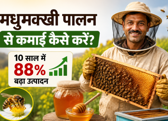 Madhumakkhi Palan Se Kamai Kaise Kare