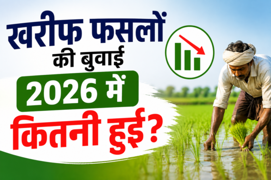 Kharif Fasalon Ki Buwai 2026 Mein Kitni Hui