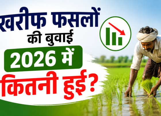 Kharif Fasalon Ki Buwai 2026 Mein Kitni Hui