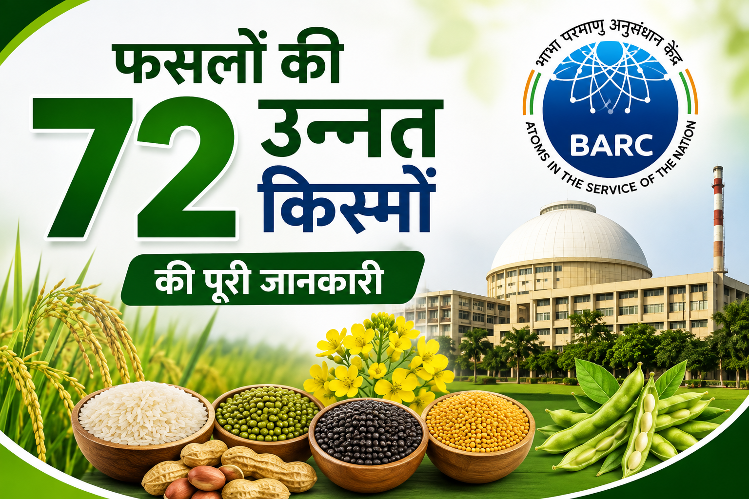 रेडिएशन तकनीक से कैसे विकसित हुईं उन्नत किस्में? फसलों की 72 उन्नत किस्मों की पूरी जानकारी Bhabha Parmanu Kendra Ki Trombay Fasal Kismein