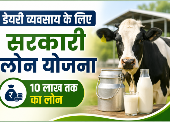 Dairy Vyavsay Ke Liye Sarkari Loan Yojana