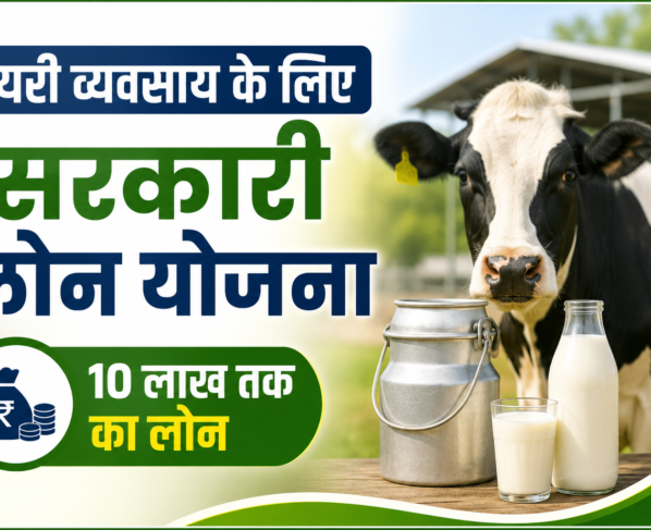 Dairy Vyavsay Ke Liye Sarkari Loan Yojana