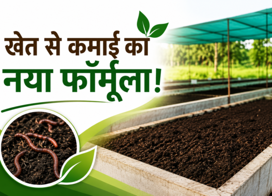 Vermicompost Success Story of Vivek Dube in MP