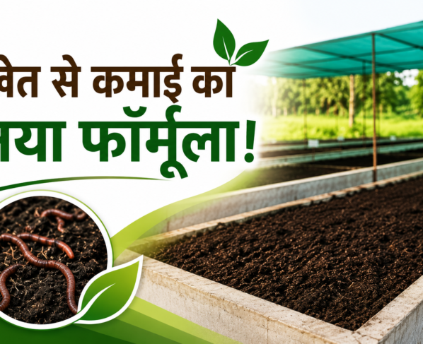 Vermicompost Success Story of Vivek Dube in MP