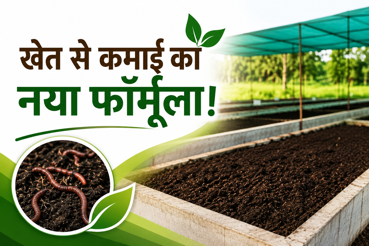 खेत से कमाई का नया फॉर्मूला! बीना के विवेक दुबे 100+ बेड से बनाएंगे रोज 1 टन जैविक खाद Vermicompost Success Story of Vivek Dube in MP