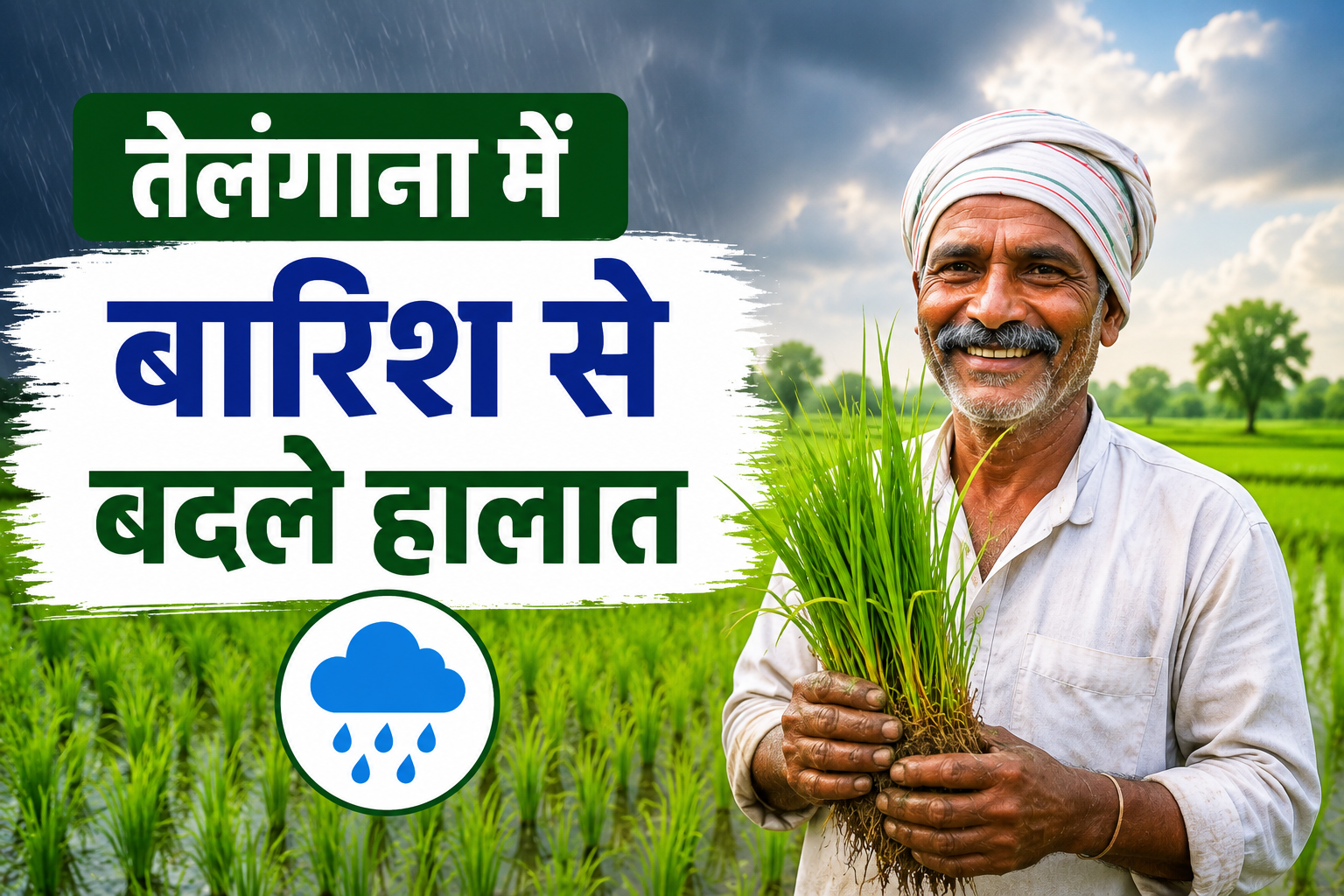 बारिश के बाद किसानों में बढ़ी उम्मीद, 8.28 लाख हेक्टेयर में हुई धान की बुवाई Telangana Me Dhan Ki Buwai 2026