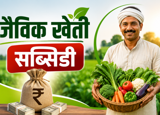 Jaivik Kheti Subsidy Kaise Milegi?