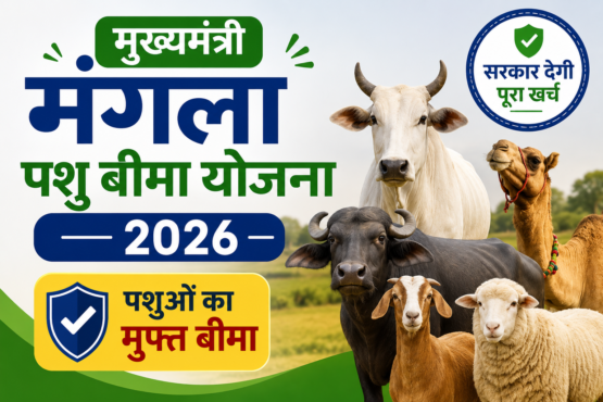 Mukhyamantri Mangla Pashu Bima Yojana 2026