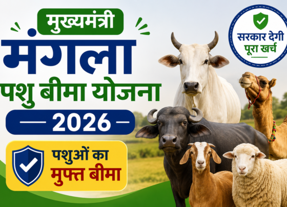 Mukhyamantri Mangla Pashu Bima Yojana 2026