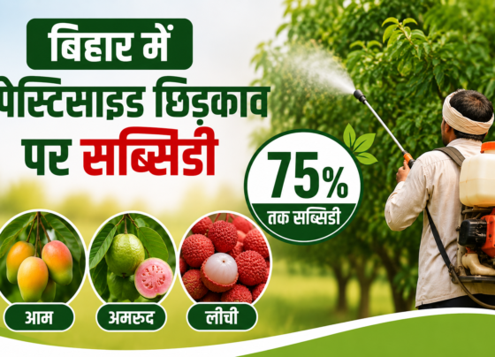 Bihar Mein Pesticide Chhidkav Par Subsidy