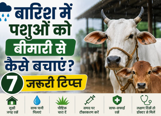 Barish Mein Pashuon Ko Bimari Se Kaise Bachayein