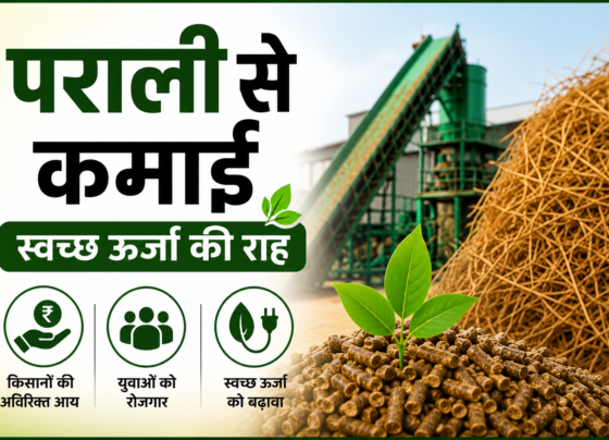 Parali Se Kamai Success Story of Sohil Mansuri in MP