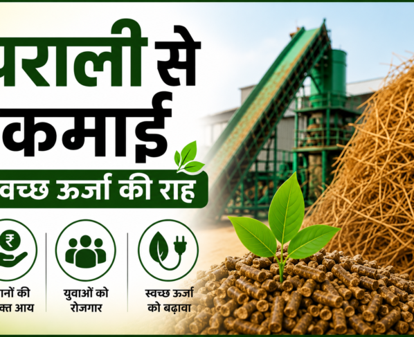 Parali Se Kamai Success Story of Sohil Mansuri in MP