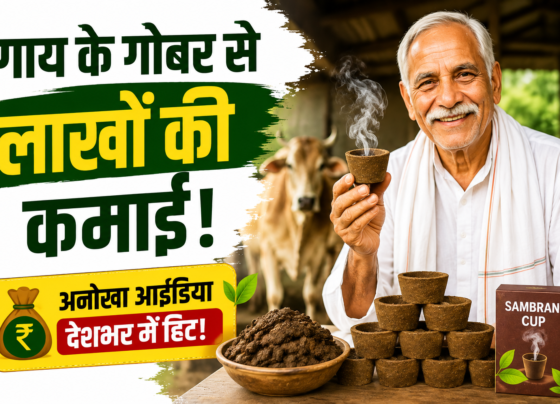 Gaay Ke Gobar Se Lakhon Ki Kamai Kaise Karein?