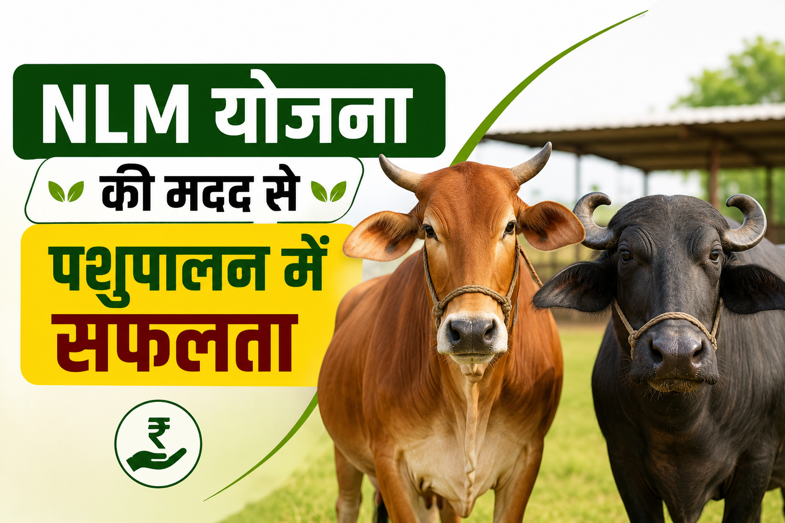 30 लाख की सब्सिडी से बदली मदन सिंह की किस्मत, मेहनत और सरकारी मदद ने बदली जिंदगी NLM Yojana Se Pashupalan Vyavsay Kaise Shuru Kare?