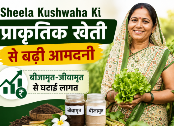 Sheela Kushwaha Ki Prakritik Kheti Se Badhi Aamdani